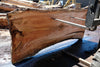 Silver Maple Slab 041725-03