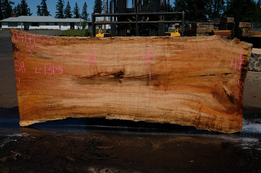 Silver Maple Slab 041725-03