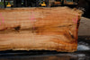 Silver Maple Slab 041725-03