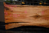 Silver Maple Slab 041725-04