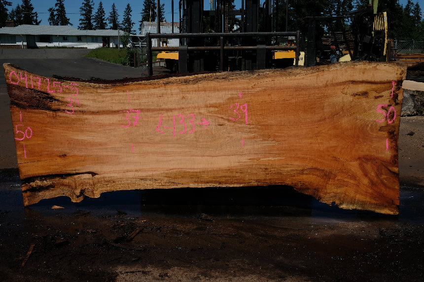 Silver Maple Slab 041725-05