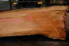 Silver Maple Slab 041725-05