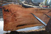 Silver Maple Slab 041725-07