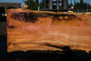 Silver Maple Slab 041725-07