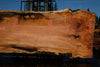Silver Maple Slab 041725-07