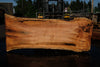 Silver Maple Slab 041725-08