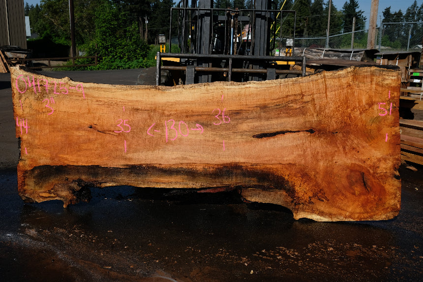 Silver Maple Slab 041725-09