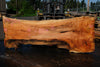 Silver Maple Slab 041725-09