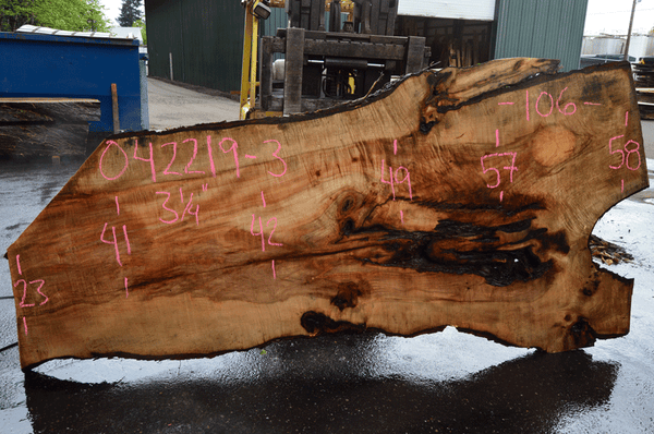 Big Leaf Maple Slab 042219-03