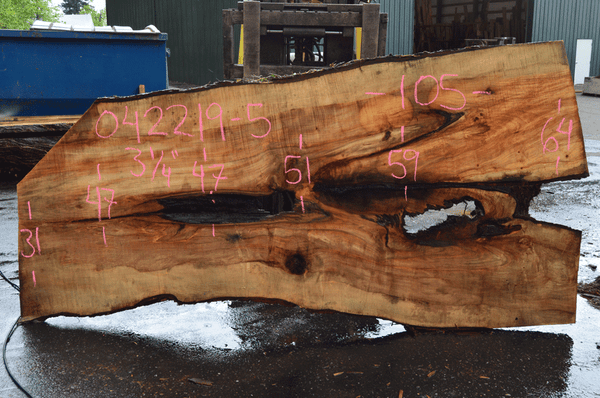 Big Leaf Maple Slab 042219-05