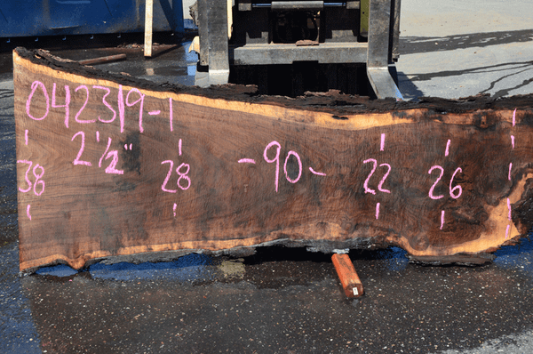 Oregon Black Walnut Slab 042319-01