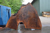 Oregon Black Walnut Slab 052821-1 Sauvie