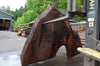 Oregon Black Walnut Slab 052821-1 Sauvie