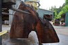 Oregon Black Walnut Slab 052821-1 Sauvie