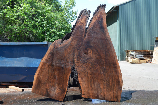 Oregon Black Walnut Slab 052821-4 Sauvie