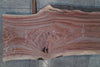 Oregon Black Walnut Slab 062220-06