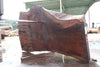Oregon Black Walnut Slab 062724-2