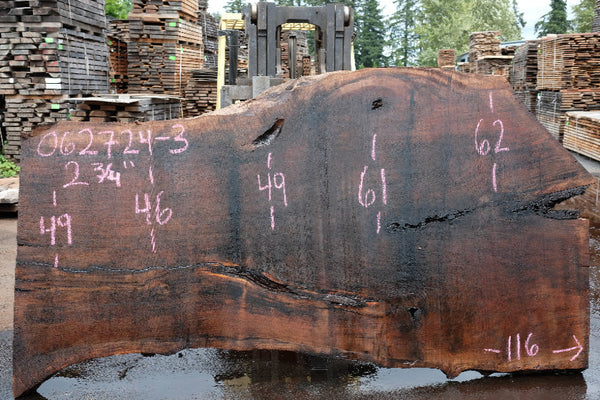 Oregon Black Walnut Slab 062724-3