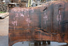 Oregon Black Walnut Slab 062724-3