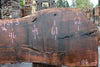 Oregon Black Walnut Slab 062724-3