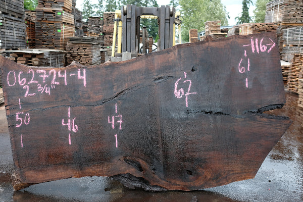 Oregon Black Walnut Slab 062724-4