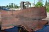Oregon Black Walnut Slab 062724-5