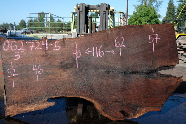 Oregon Black Walnut Slab 062724-5