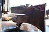 Oregon Black Walnut Slab 062724-6