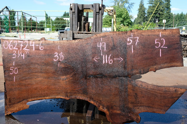 Oregon Black Walnut Slab 062724-6