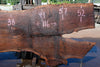 Oregon Black Walnut Slab 062724-6