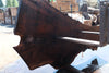 Oregon Black Walnut Slab 062724-7