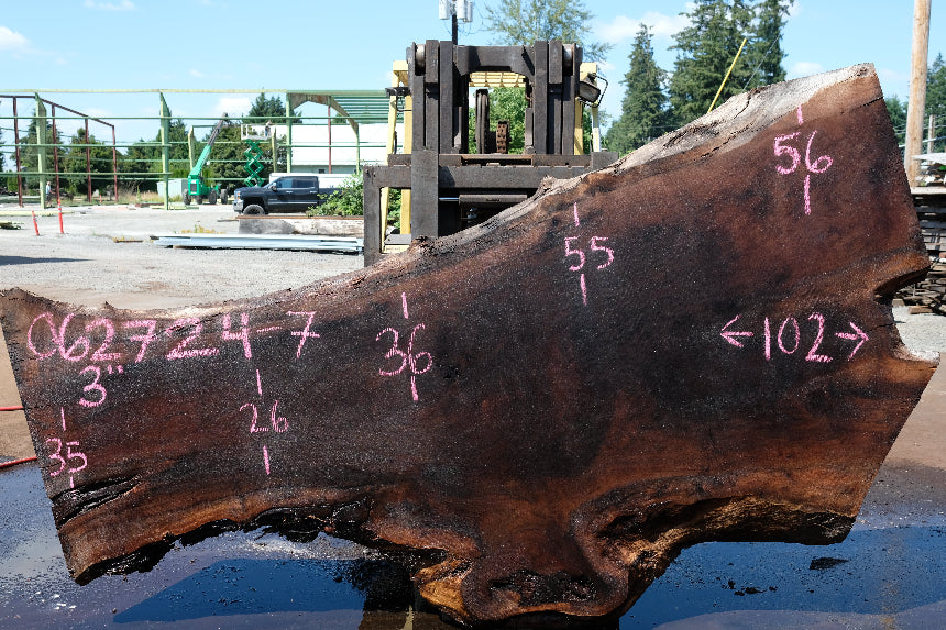 Oregon Black Walnut Slab 062724-7