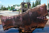 Oregon Black Walnut Slab 062724-7