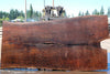 Oregon Black Walnut Slab 070324-1