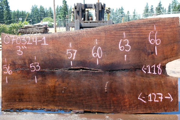Oregon Black Walnut Slab 070324-1