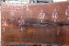 Oregon Black Walnut Slab 070324-1