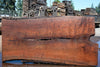 Oregon Black Walnut Slab 070324-2