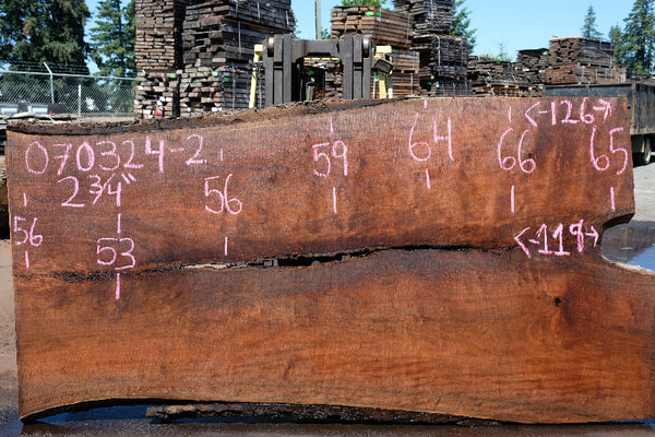 Oregon Black Walnut Slab 070324-2