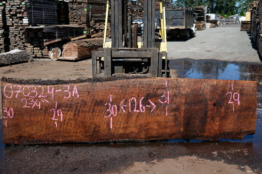 Oregon Black Walnut Slab 070324-3A