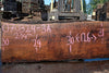 Oregon Black Walnut Slab 070324-3A