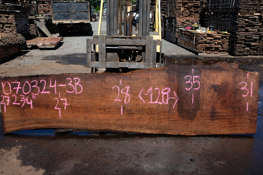 Oregon Black Walnut Slab 070324-3B