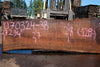 Oregon Black Walnut Slab 070324-3B