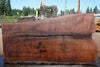 Oregon Black Walnut Slab 070324-4