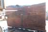 Oregon Black Walnut Slab 070324-4