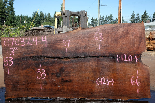 Oregon Black Walnut Slab 070324-4