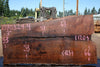 Oregon Black Walnut Slab 070324-4