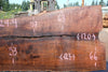 Oregon Black Walnut Slab 070324-4