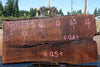 Oregon Black Walnut Slab 070324-5