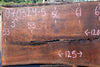 Oregon Black Walnut Slab 070324-5