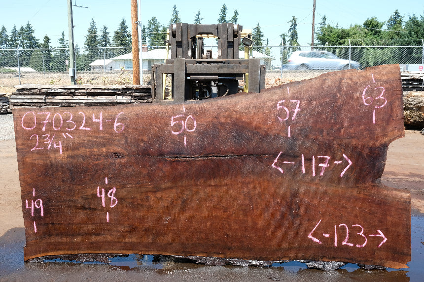 Oregon Black Walnut Slab 070324-6